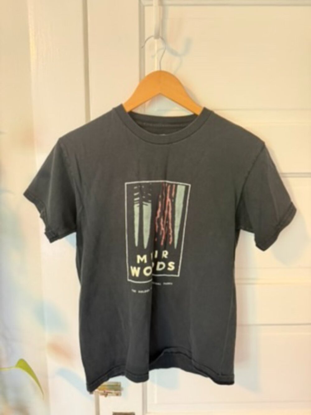 Muir Woods T Shirt